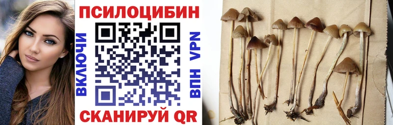 дарк нет какой сайт  Волчанск  Галлюциногенные грибы MAGIC MUSHROOMS 